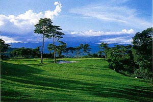 新城カントリー倶楽部