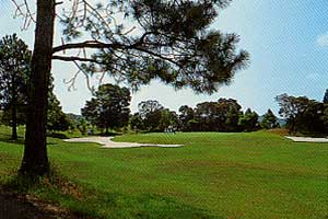 宮崎国際ゴルフ倶楽部