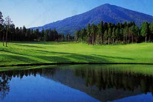 生駒高原宮崎小林ゴルフコース