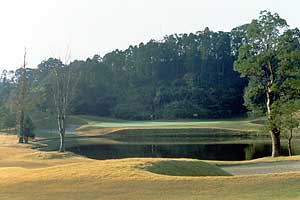 宮崎サンシャインベアーズタウンカントリークラブ