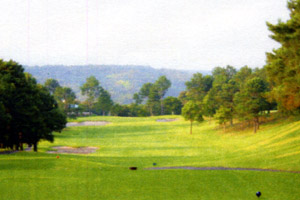 南九州カントリークラブ　伊集院コース