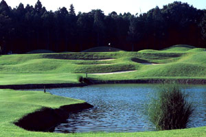 ホワイトバーチカントリークラブ