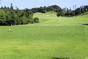 東京国際空港ゴルフ倶楽部